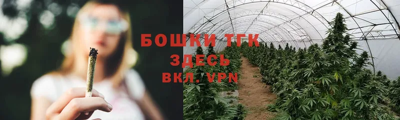 Каннабис THC 21%  как найти закладки  Старая Русса 